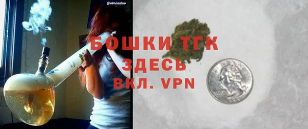 индика Приозерск