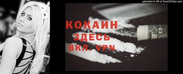 твердый Покровск