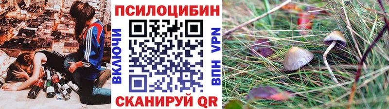 Галлюциногенные грибы GOLDEN TEACHER  Купить  Мценск 
